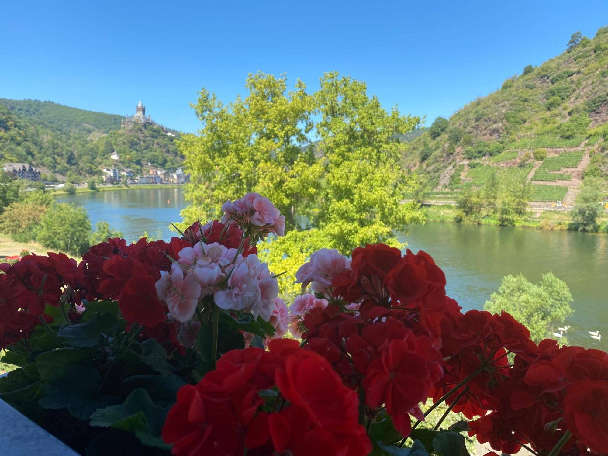 Hotel Altes Winzerhaus Cochem Room photo